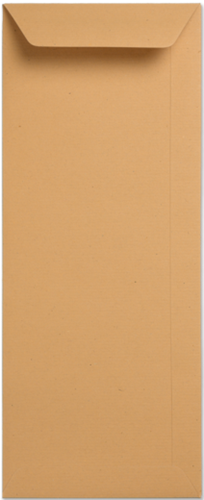 Envelop Specials 12,5 x 31,2 cm Kraft bruin