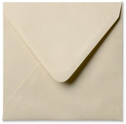 Envelop PaperWise 14 x 14 cm