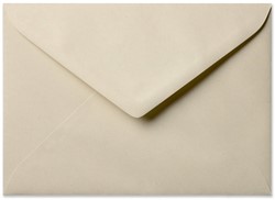 Envelop PaperWise 15,6 x 22 cm