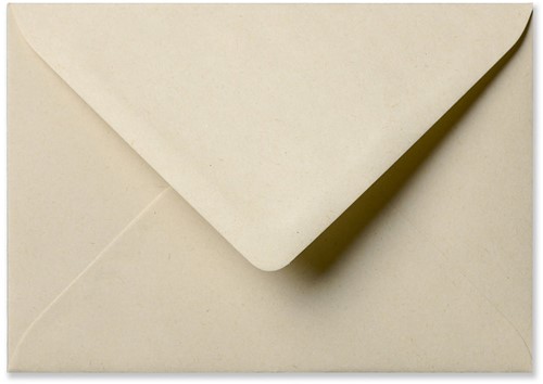 Envelop PaperWise 12,5 x 17,6 cm