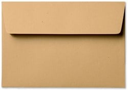 Envelop Specials 12,6 x 18 cm striplock Kraft bruin