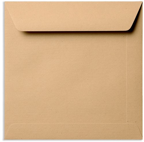 Envelop Specials 17 x 17 cm Kraft bruin