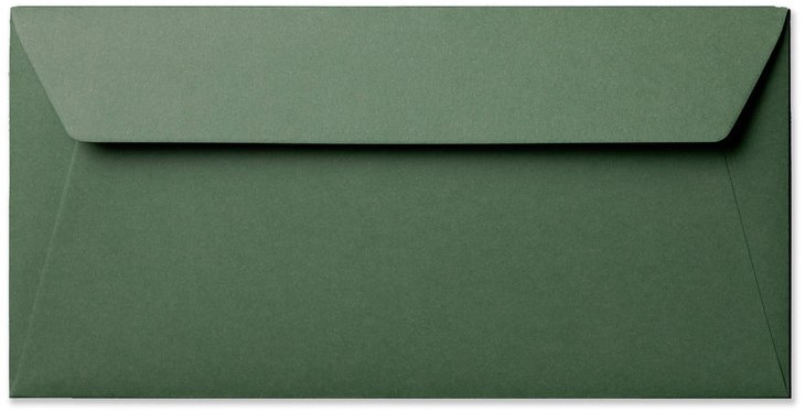 Ik heb een contract gemaakt Grace Messing Envelop Specials 11 x 22 cm striplock donkergroen Palm Papier BE