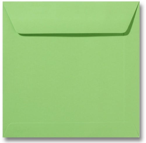Envelop Specials 19 x 19 cm appelgroen