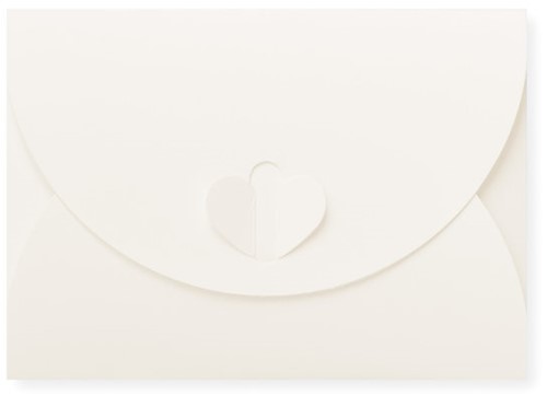 Geschenkenvelop 8 x 11,4 cm biotop