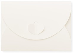 Geschenkenvelop 11 x 15,6 cm biotop